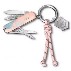 65. Victorinox Classic SD en Key Ring, Paris Style, zakmes